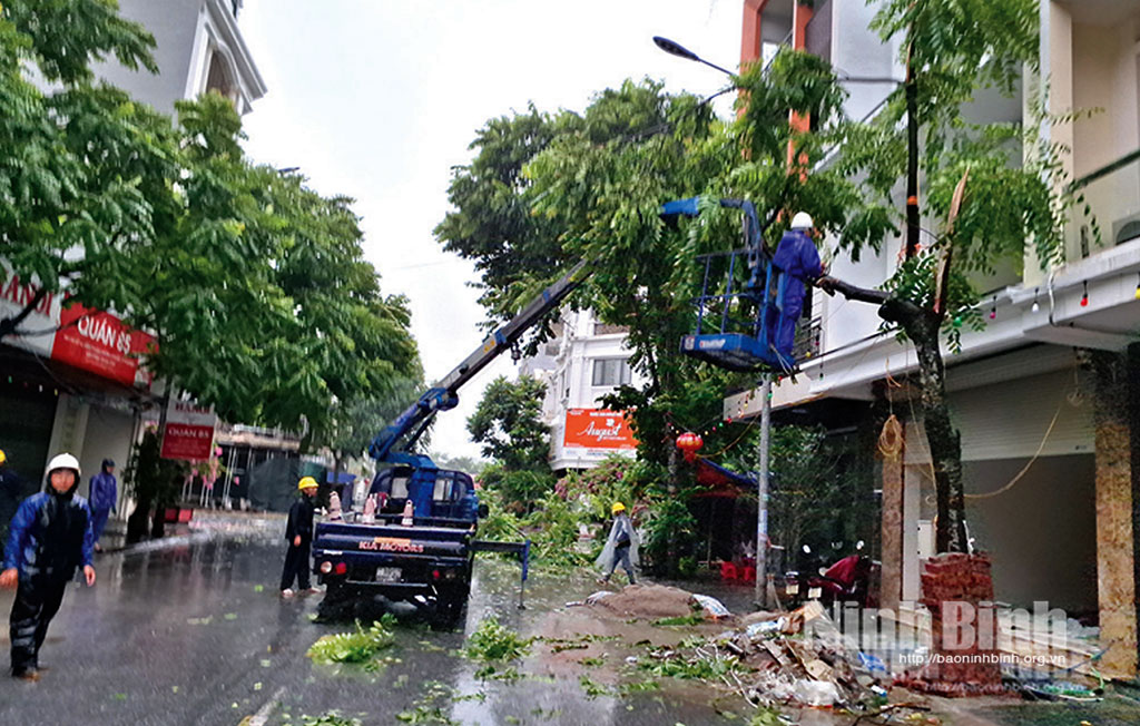 Công nhân Công ty cổ phần Công trình đô thị Nam Định xử lý cây gãy đổ tại Khu Đô thị Dệt may sáng 22/7