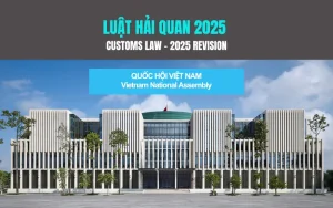 luat-hai-quan-sua-doi-moi-2025