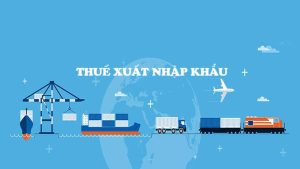 thue-xuat-nhap-khau-vietnam-2025