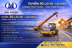 tuyendunglaixelaimaydaiphong